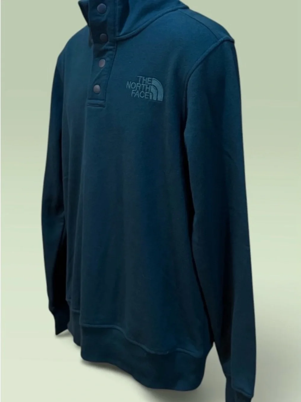 The North Face discontinued model